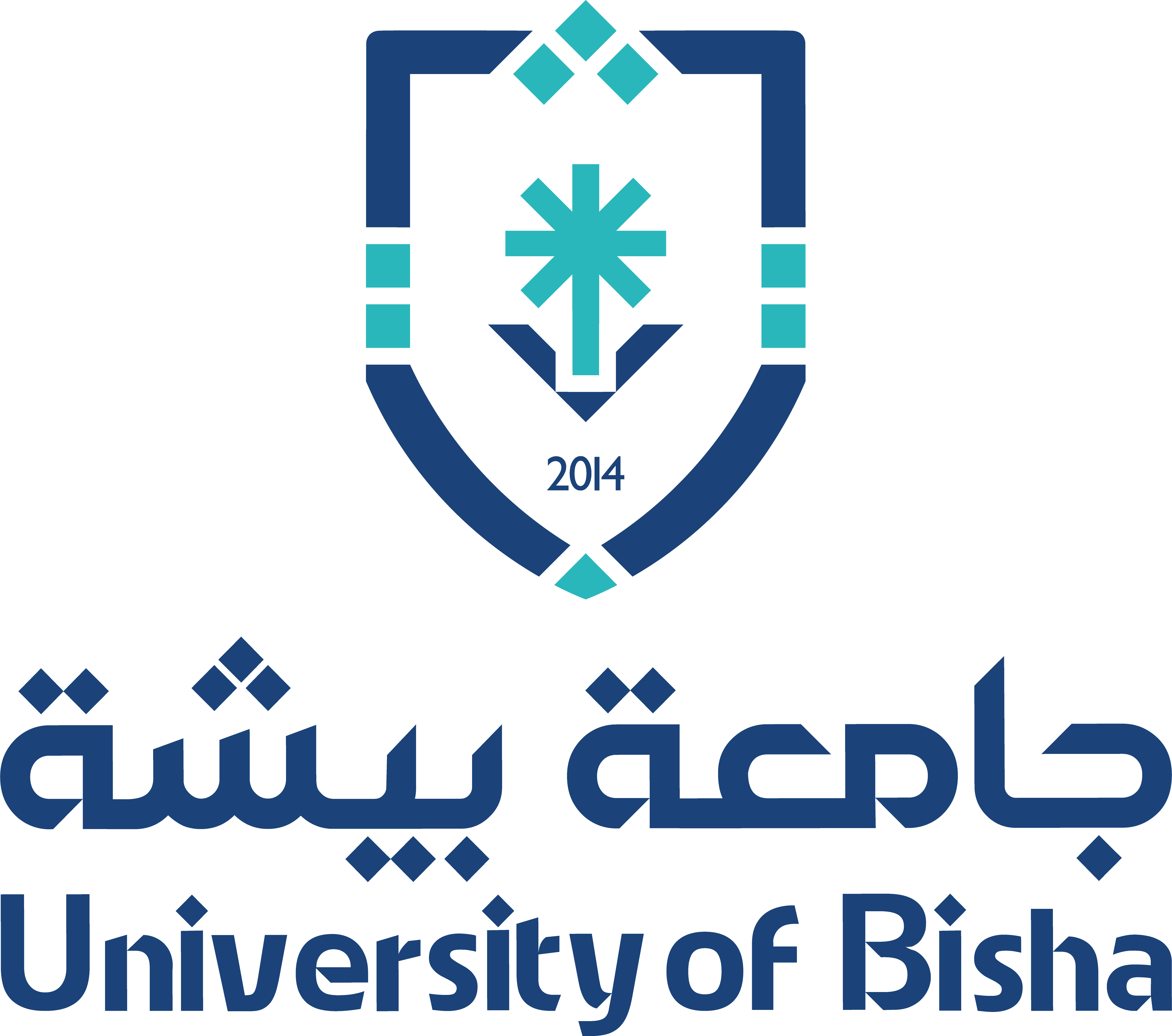 Bisha University