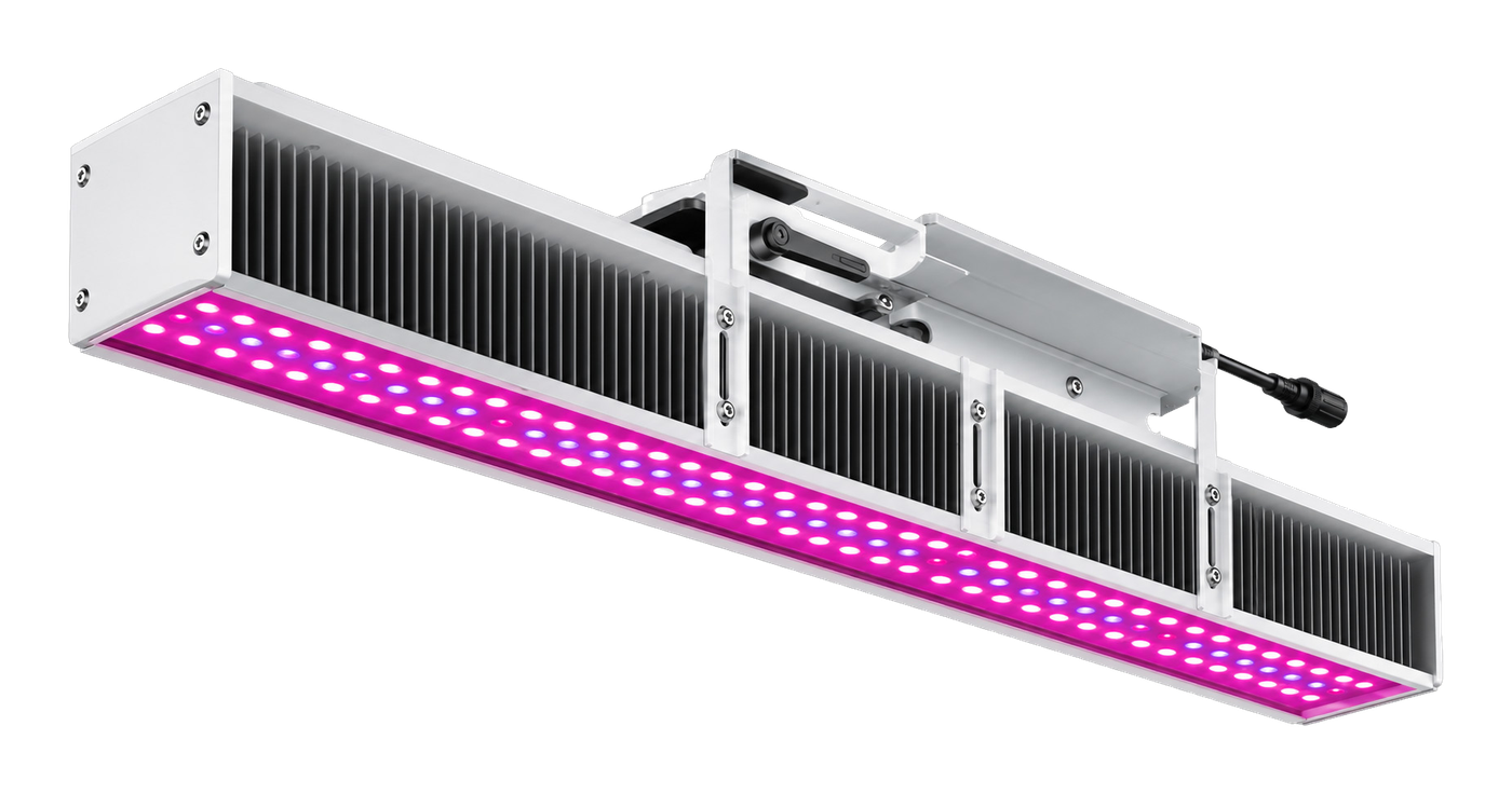 NGRO480 Dimmable Horticultural Top Light by NLC