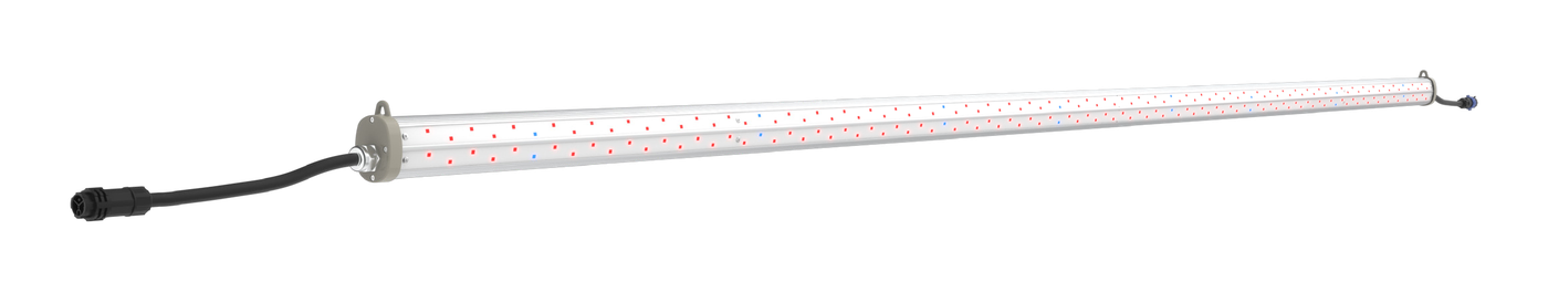 NGRO50 Wired and WiFi Horticultural Grow Bar by NLC