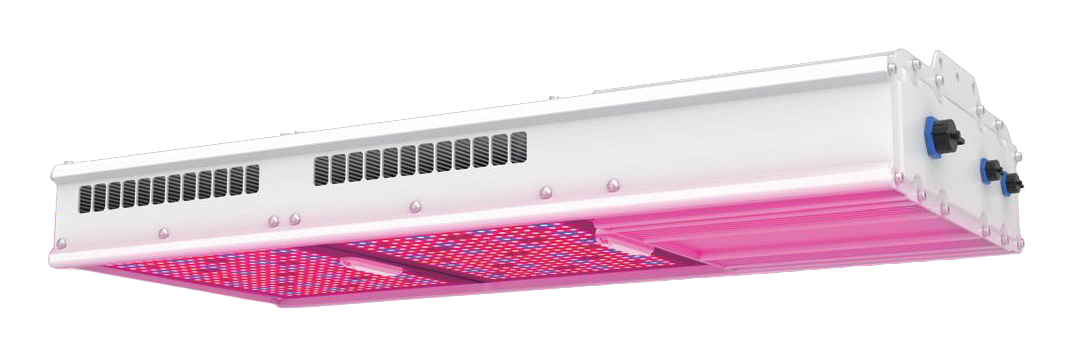 NGRO780 780W Horticultural LED Grow Light by NLC
