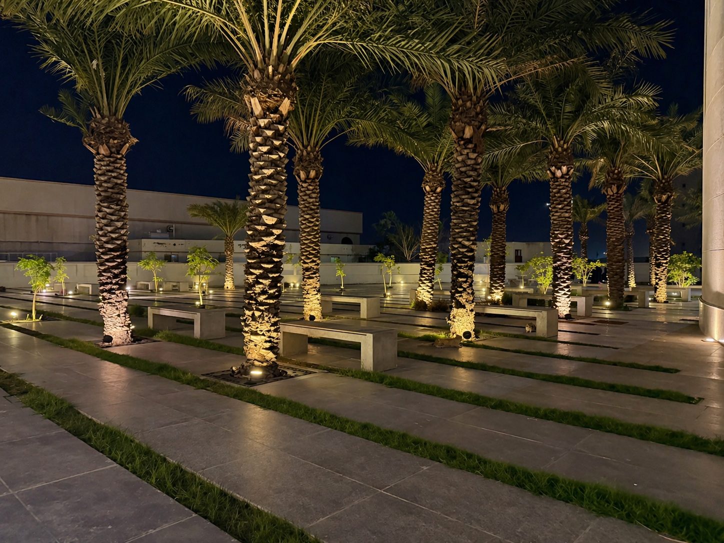 صورة من مكتبة الدمام 2